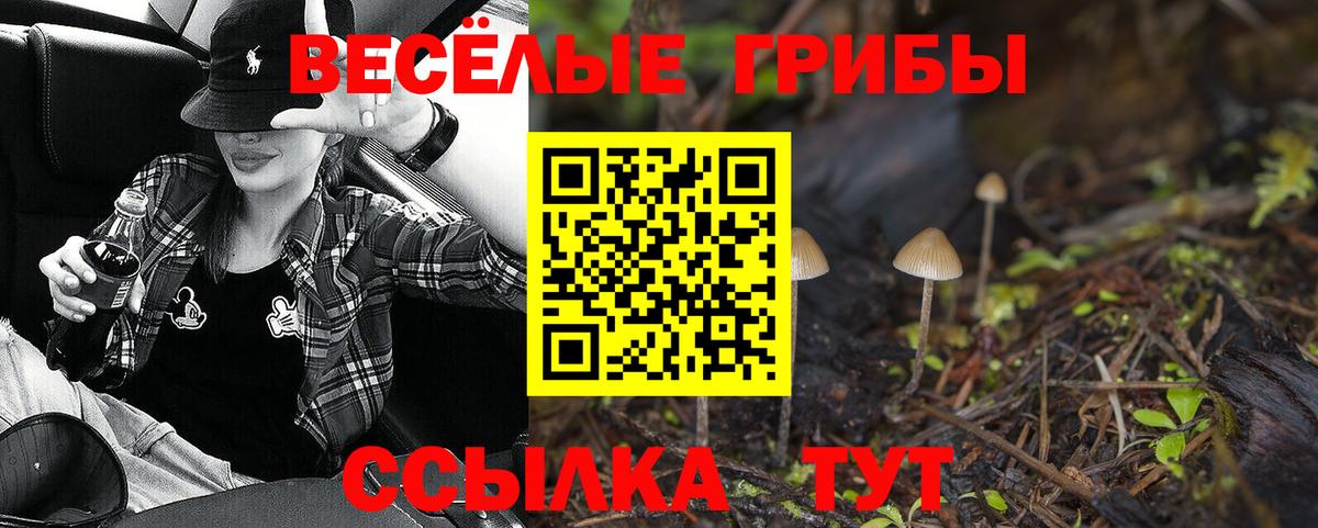 Галлюциногенные грибы MAGIC MUSHROOMS Ленинск-Кузнецкий