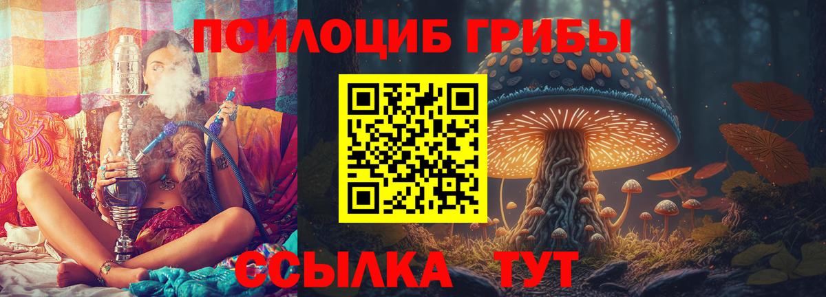 купить наркоту  Псилоцибиновые грибы Psilocybe  Вход с VPN  Ленинск-Кузнецкий 
