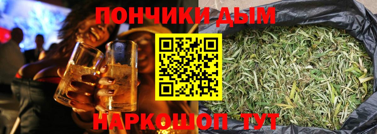 Канабис сатива Ленинск-Кузнецкий